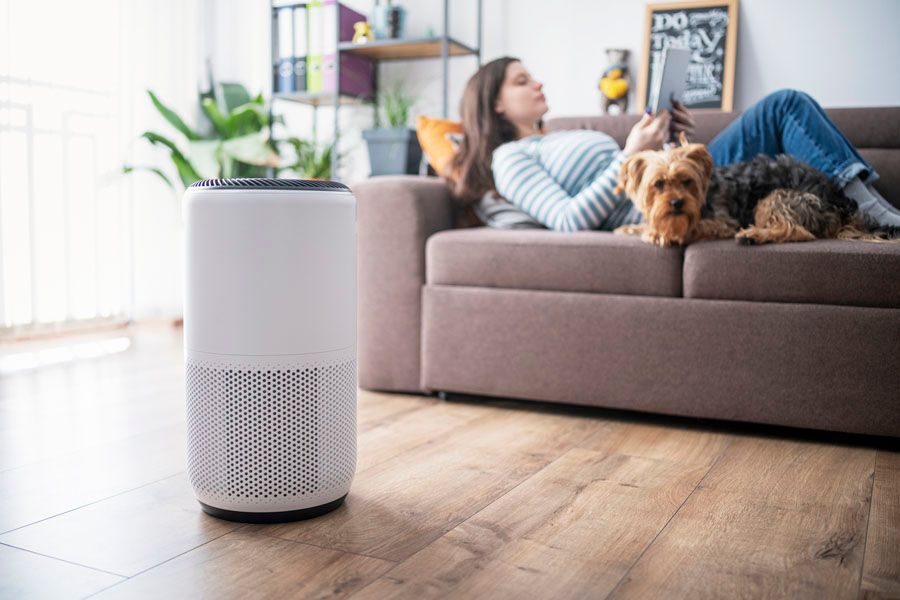 White cylindrical air purifier on a wooden floor in a bright living room, with a woman and two dogs lounging on a sofa.
