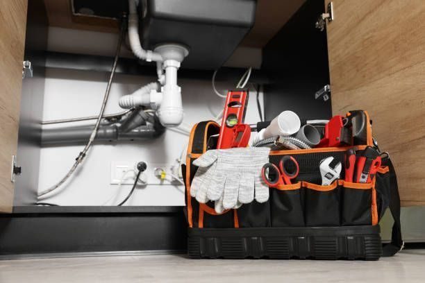 Plumber's utility bag sitting under a sink
