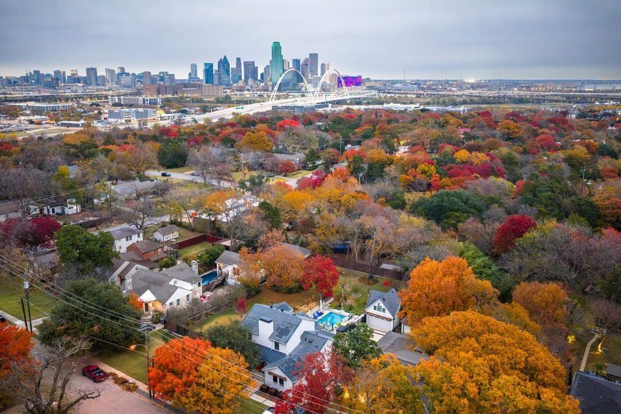 Aerial view of a fall-colored residential area with vibrant orange, red, and yellow trees, and a distant city skyline with a white arch bridge over a river.
